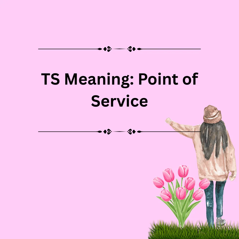 TS Meaning: Point of Service