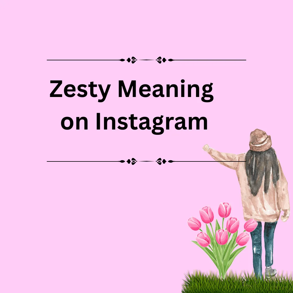 Zesty Meaning on Instagram