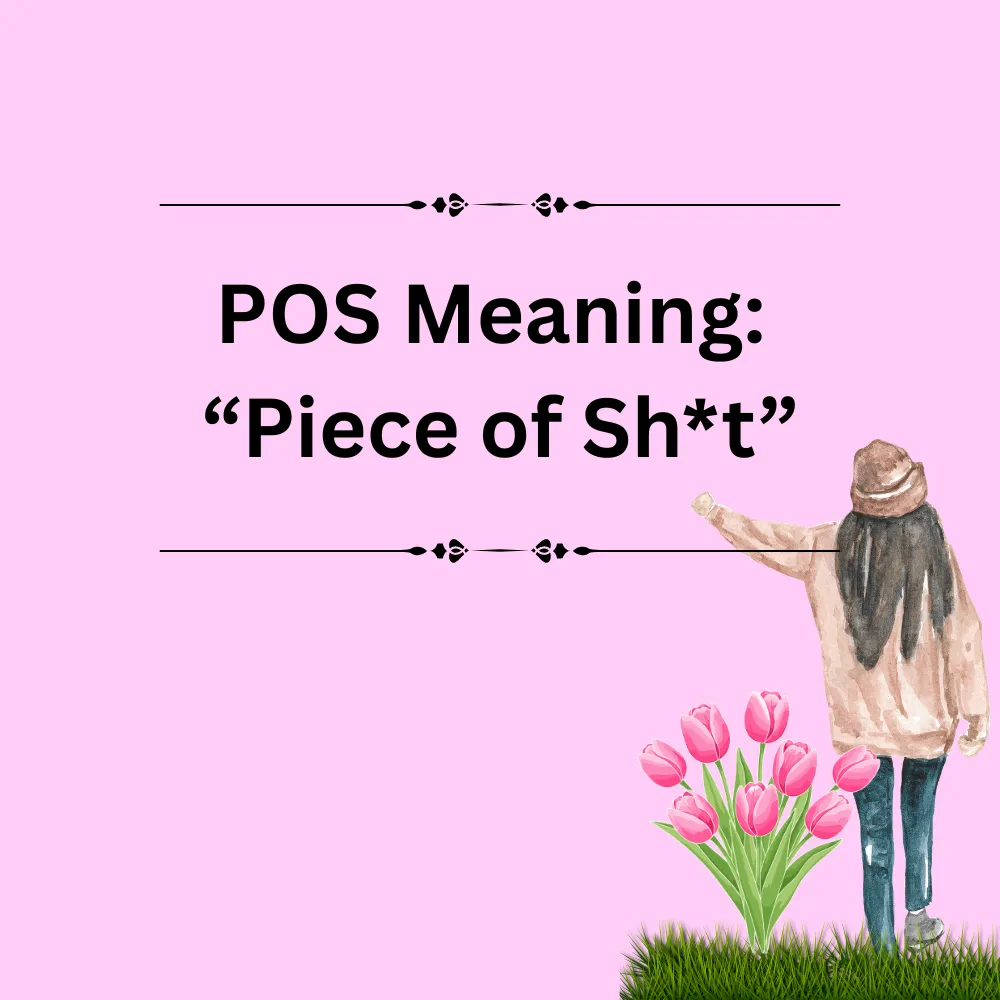 POS Meaning: “Piece of Sh*t”