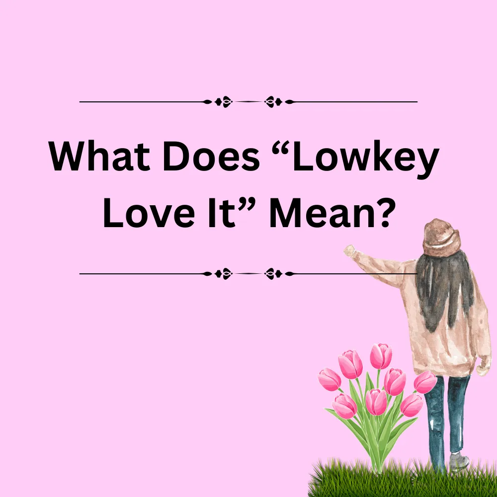 What Does “Lowkey Love It” Mean?