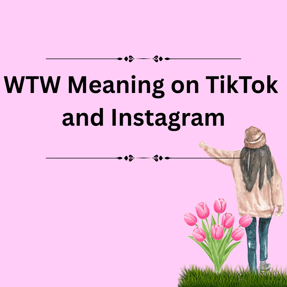 WTW Meaning on TikTok and Instagram