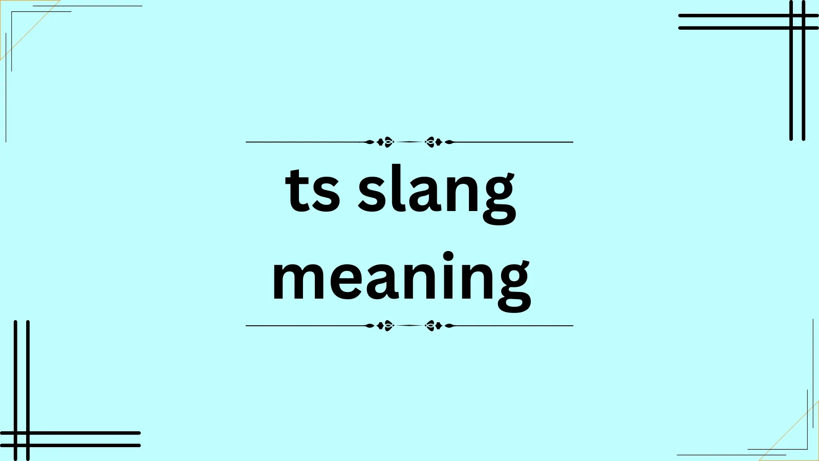 ts slang meaning