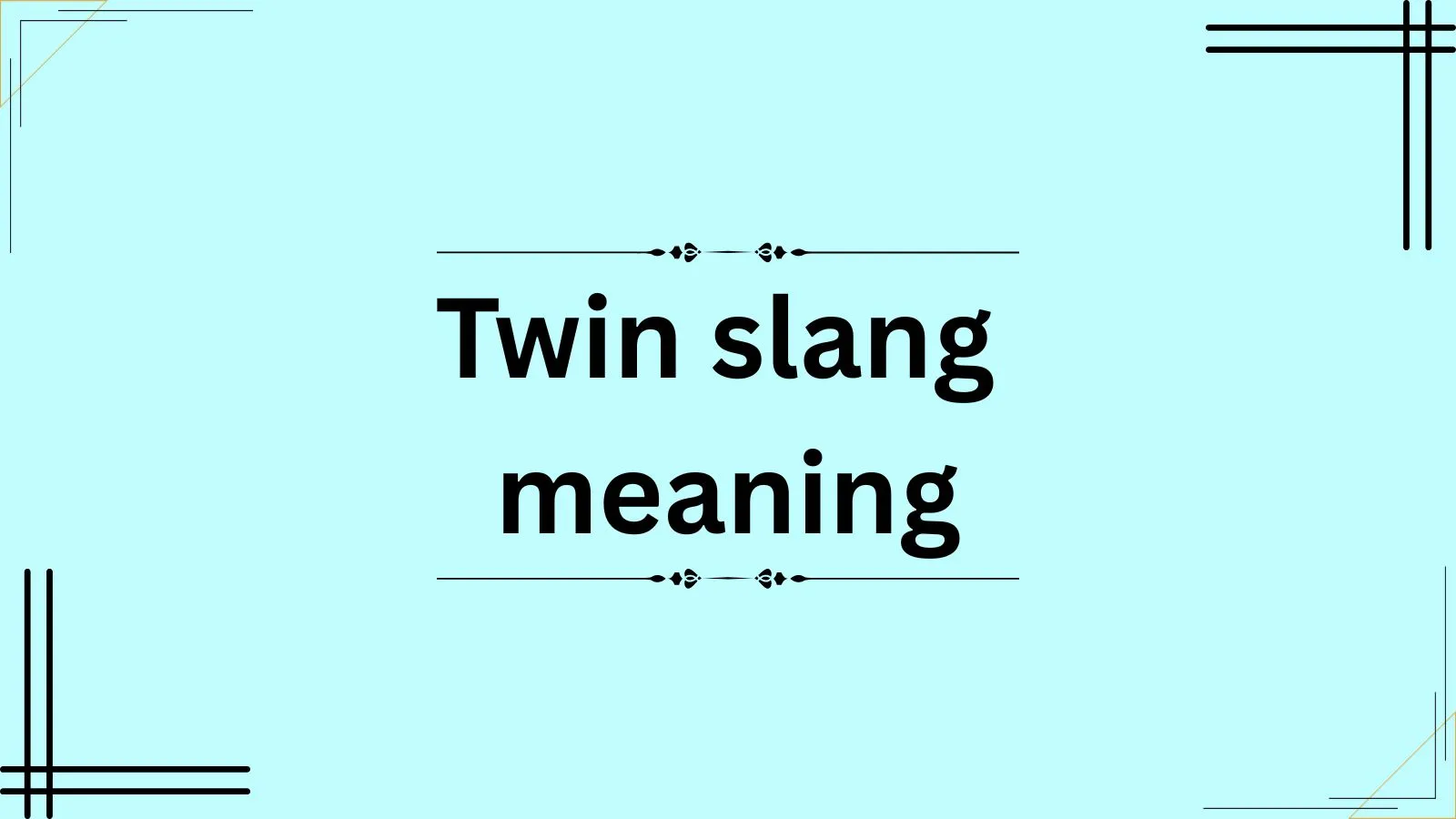 twin slang meaning