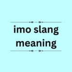 imo slang meaning