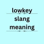lowkey slang meaning