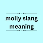 molly slang meaning