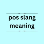 pos slang meaning