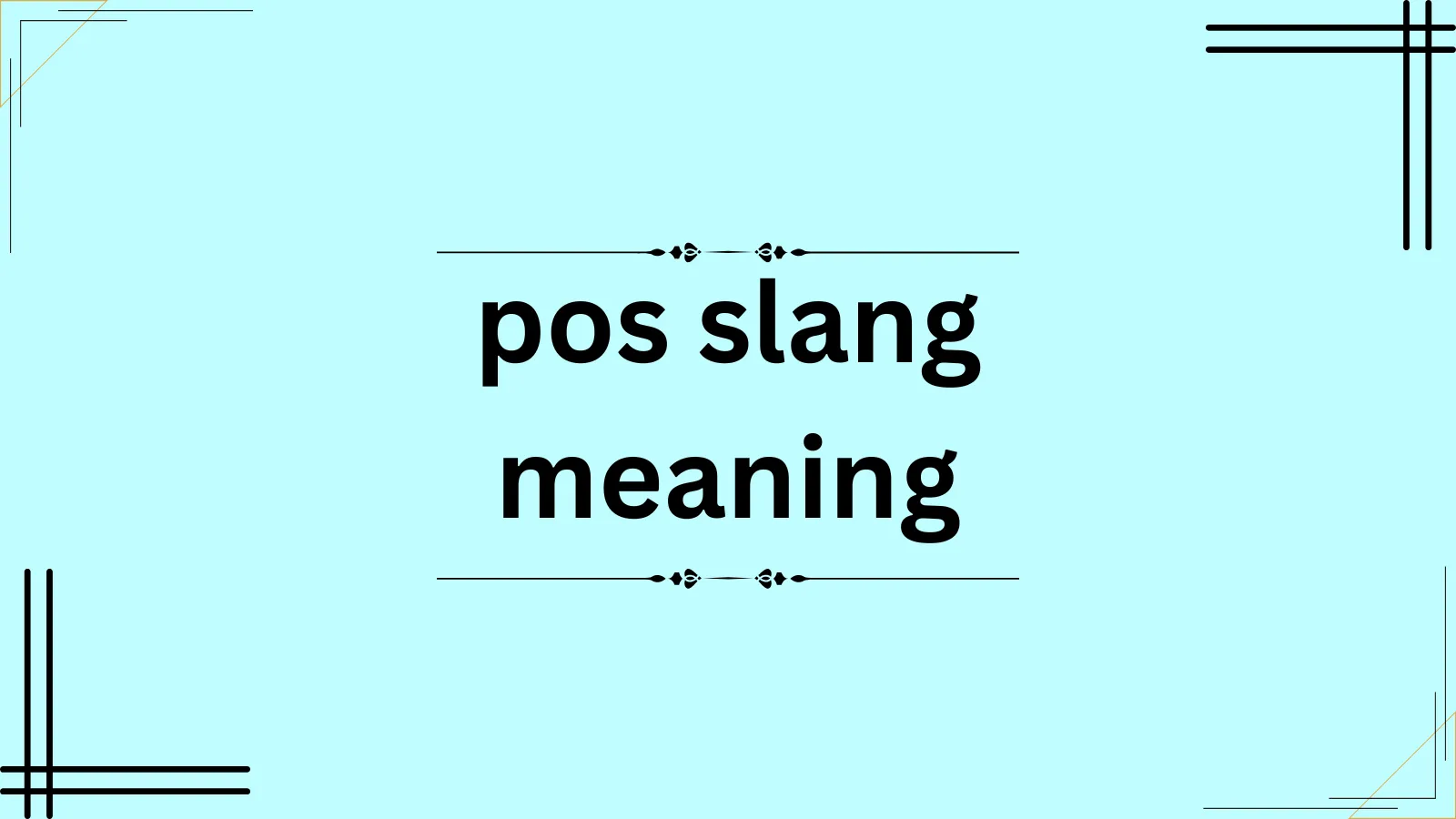 pos slang meaning